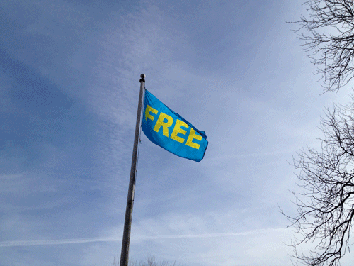 free flag